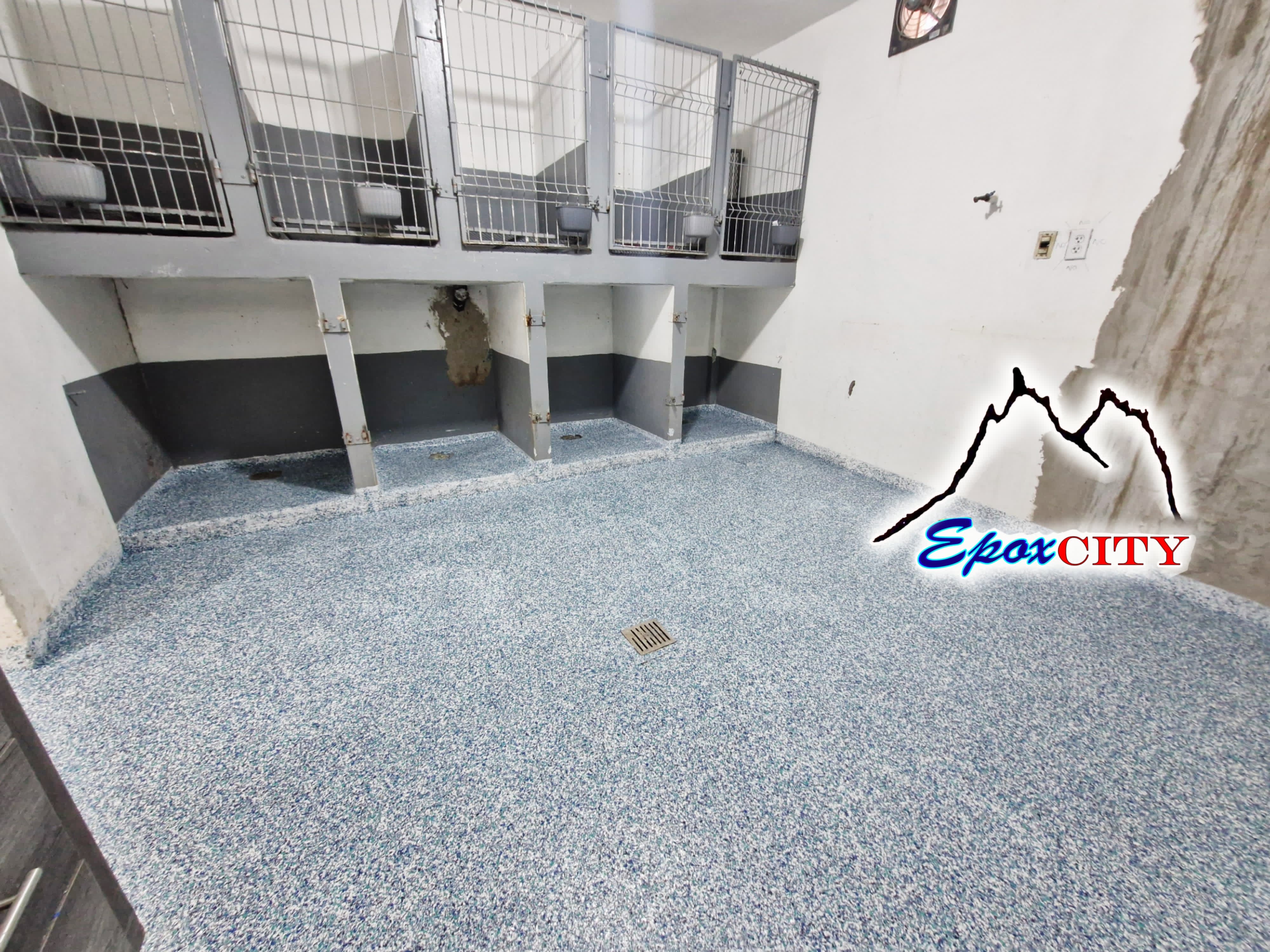 Clínica veterinaria, Sistema Flake — vista 4